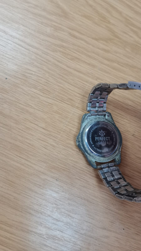Часы наручные Perfect GB271