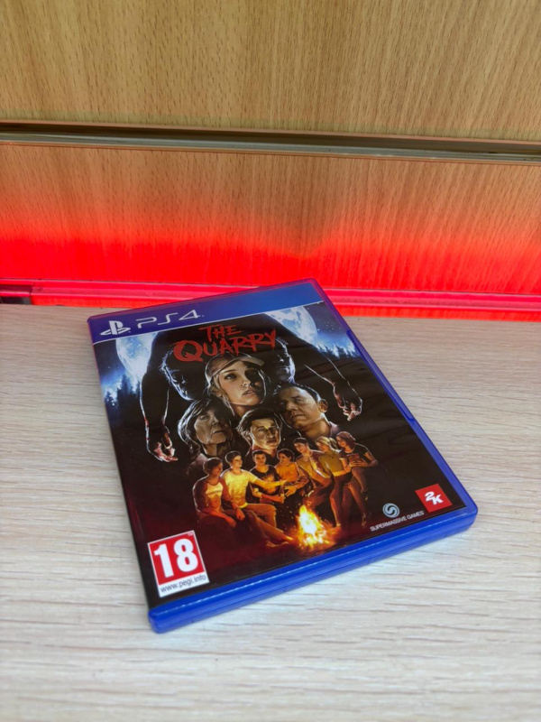 Игра Sony PS4 THE QUARRY