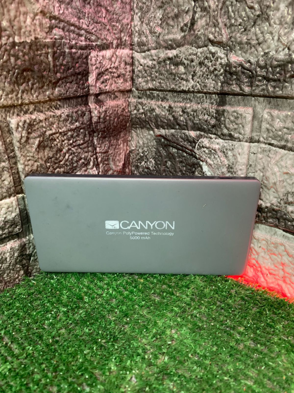 Внешний аккумулятор Canyon CNS-TBPEDG
